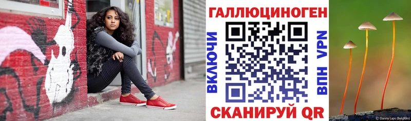 Псилоцибиновые грибы прущие грибы  Купить  Ивангород 