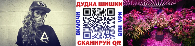 Купить закладки  Ивангород  Бошки марихуана гибрид 
